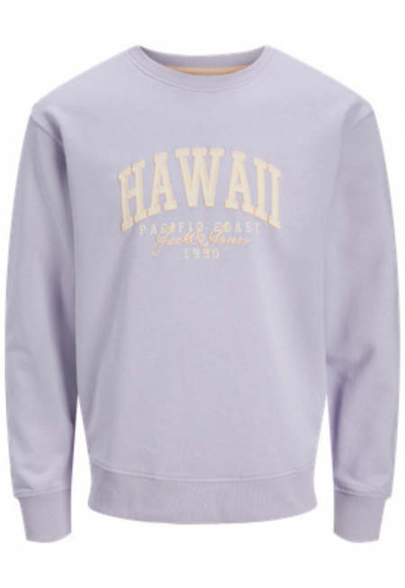 SUDADERA DETROIT | JACK &...