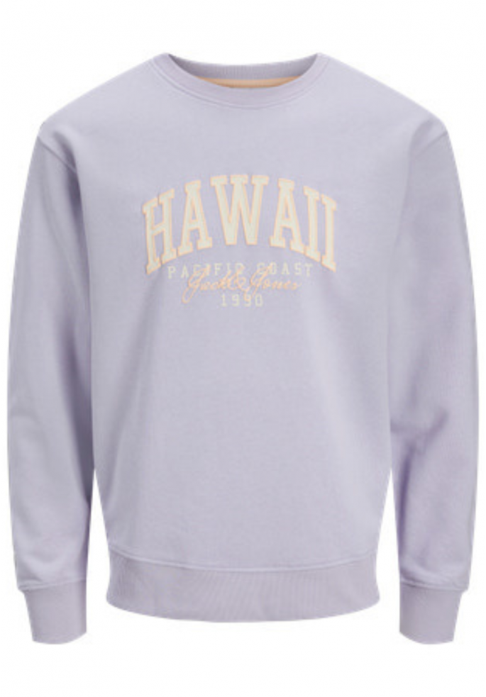 SUDADERA DETROIT | JACK & JONES