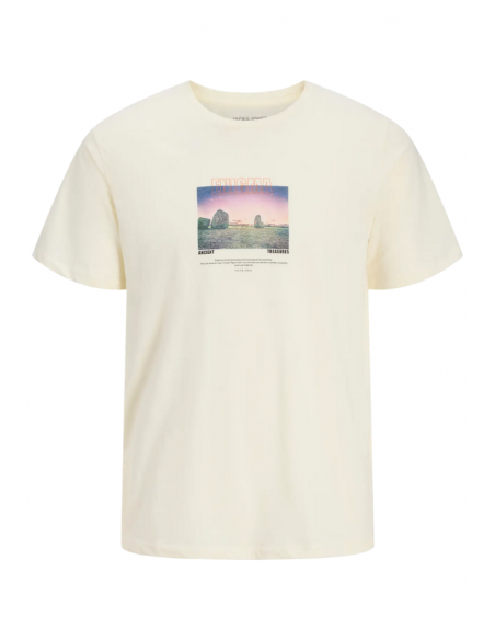 CAMISETA RYU | JACK & JONES