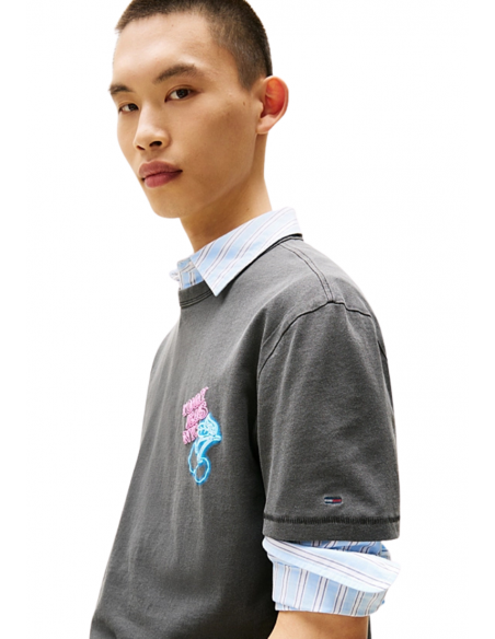 CAMISETA REG NOVELTY FAIR | TOMMY HILFIGER