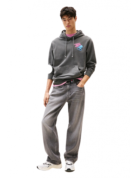 SUDADERA REG NOVELTY FAIR |TOMMY HILFIGER