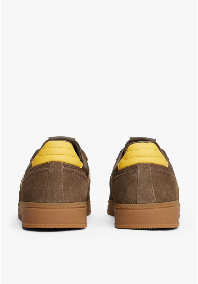 DEPORTIVA GREENWICH EDGE | TOMMY...