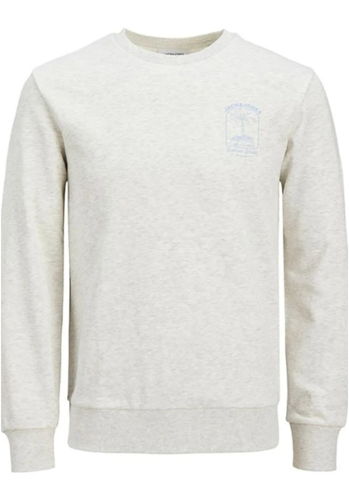 SUDADERA JONE SUMMER | JACK & JONES