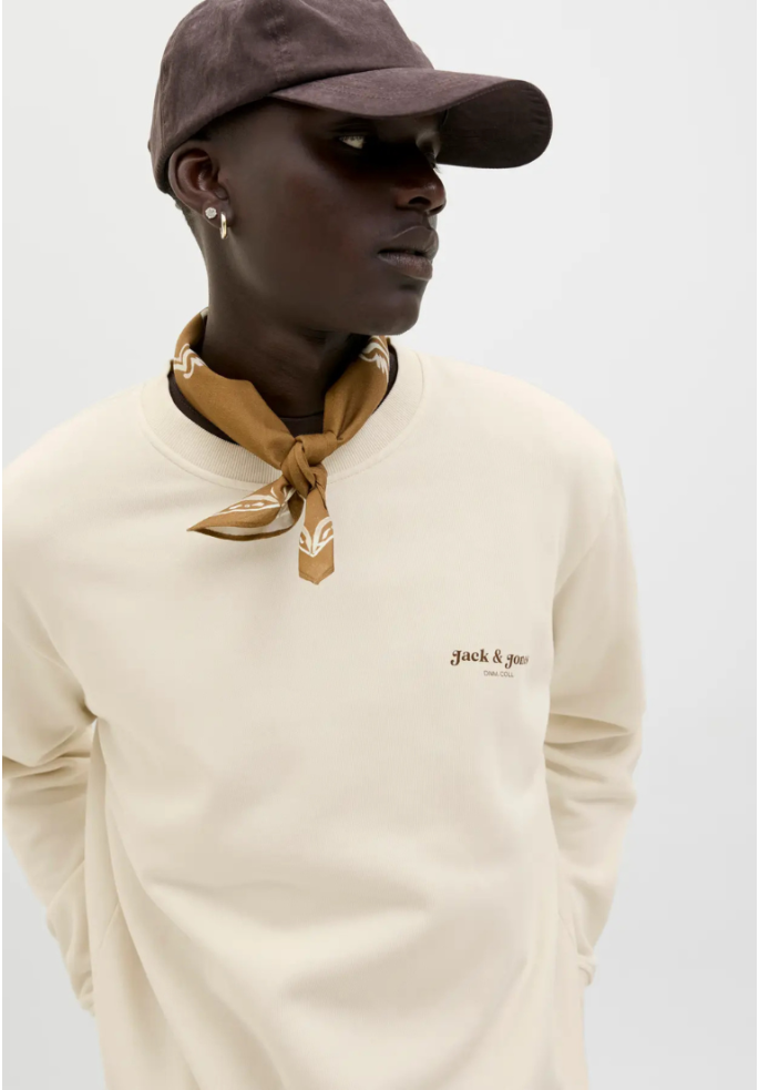 SUDADERA DOVER PRINT | JACK & JONES