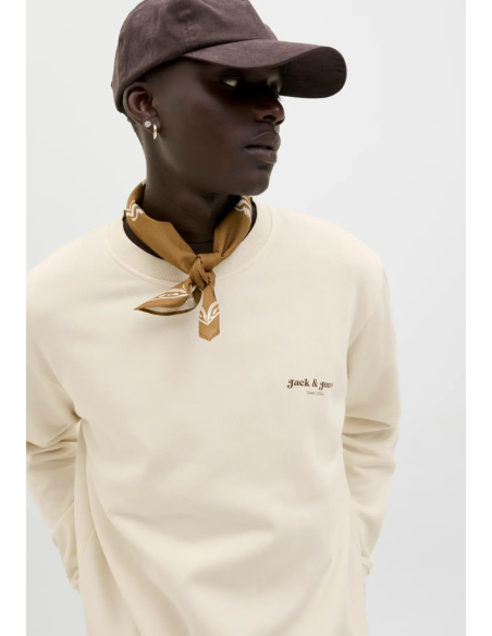 SUDADERA DOVER PRINT | JACK & JONES