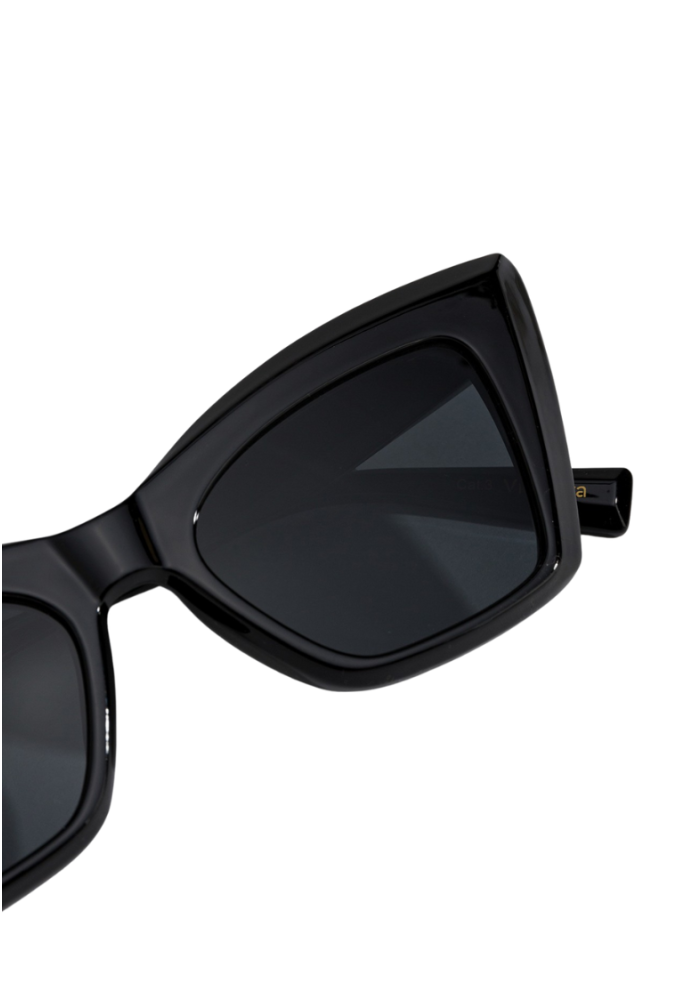 GAFAS DE SOL CAT | VILANOVA