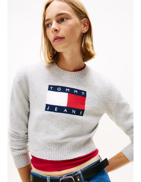 JERSEY SPARKLE FLAG | TOMMY HILFIGER