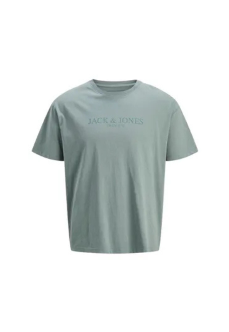 CAMISETA LULUCA | JACK & JONES