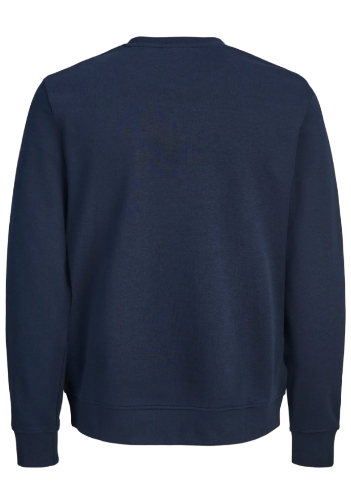 SUDADERA DEVIN DAYTONA | JACK & JONES