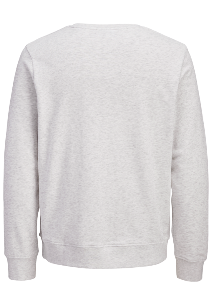 SUDADERA DEVIN DAYTONA | JACK & JONES